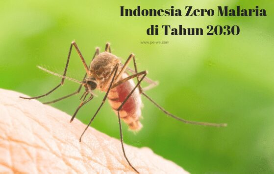 Indonesia Zero Malaria di Tahun 2030